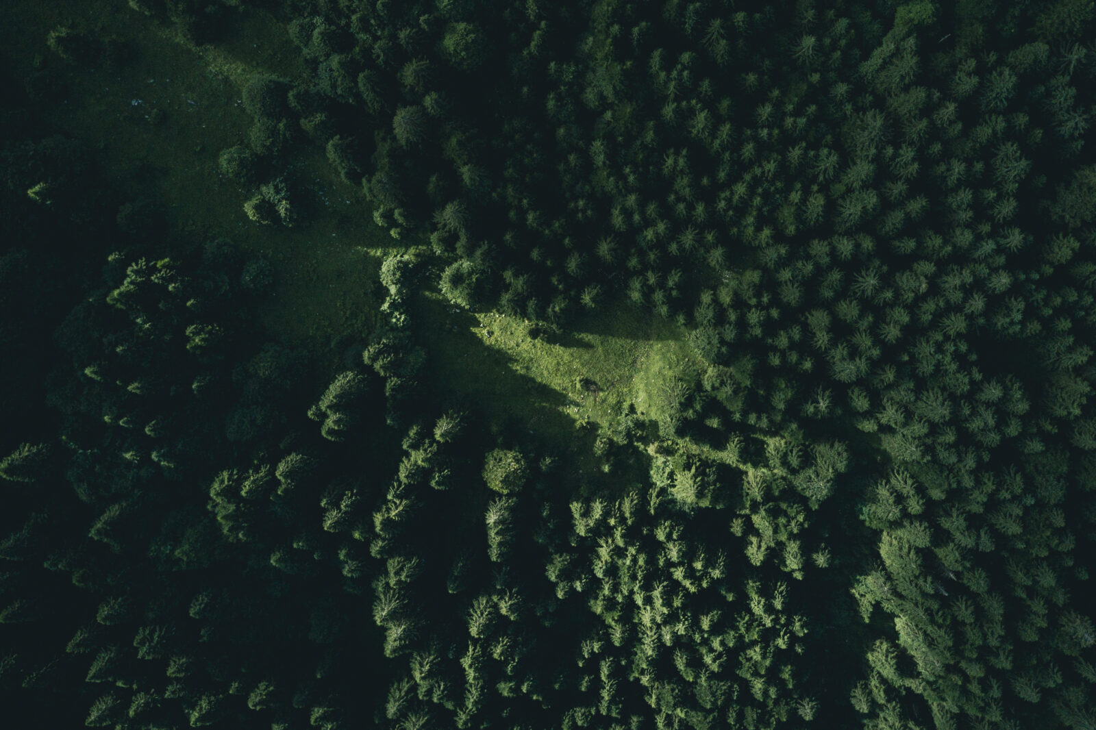 dji_0026-aspect-ratio-1600-1066